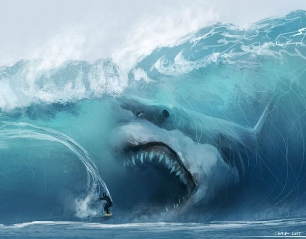 The Megalodon: The Enormous Ancient Shark that Completely Disappeared ...
