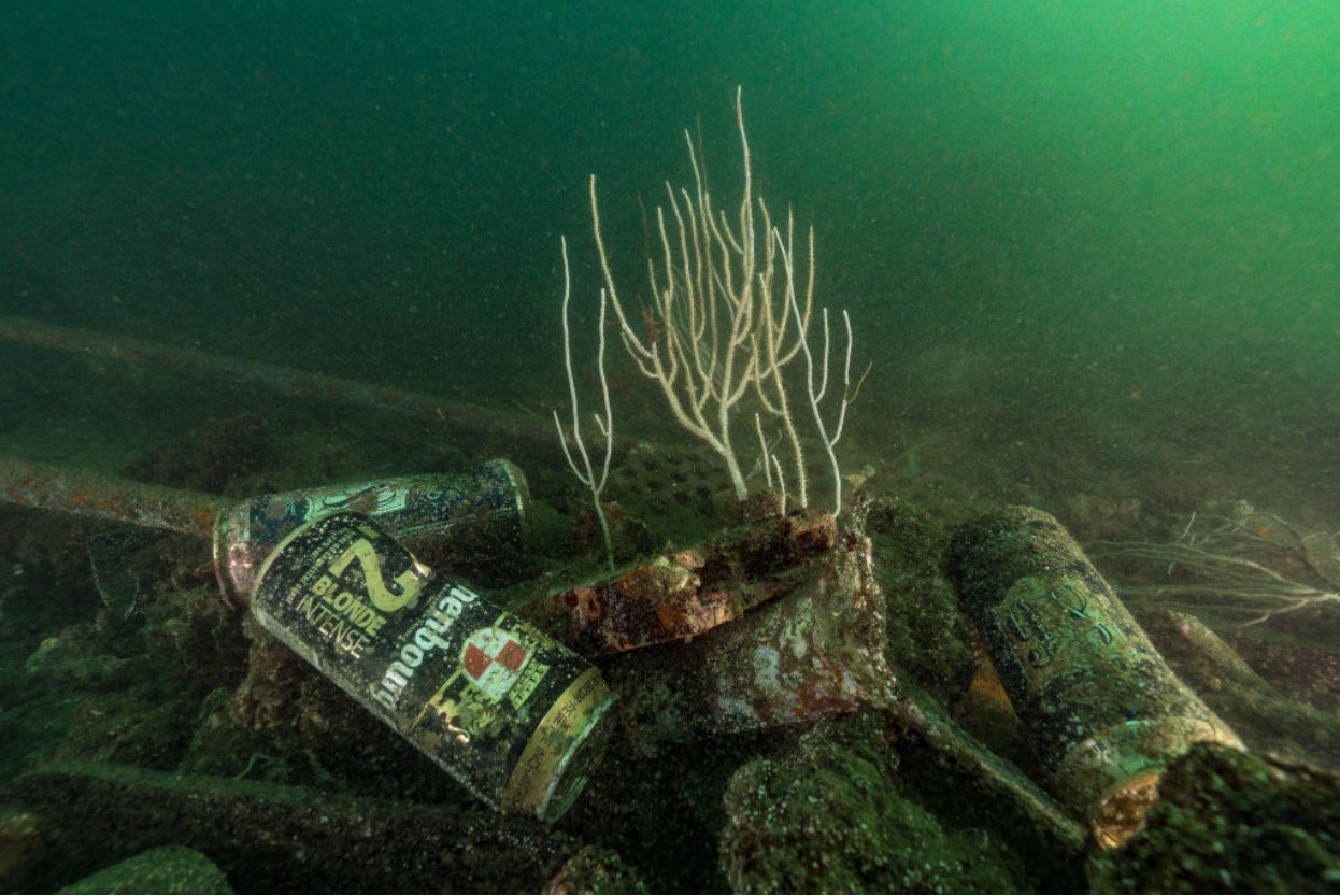 Several cans sit on coral reef showing underwater waste