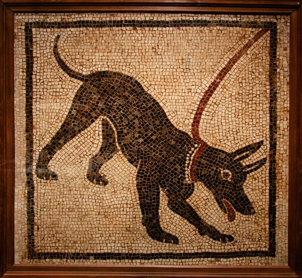 A mosaic of a guard dog in Ancient Rome