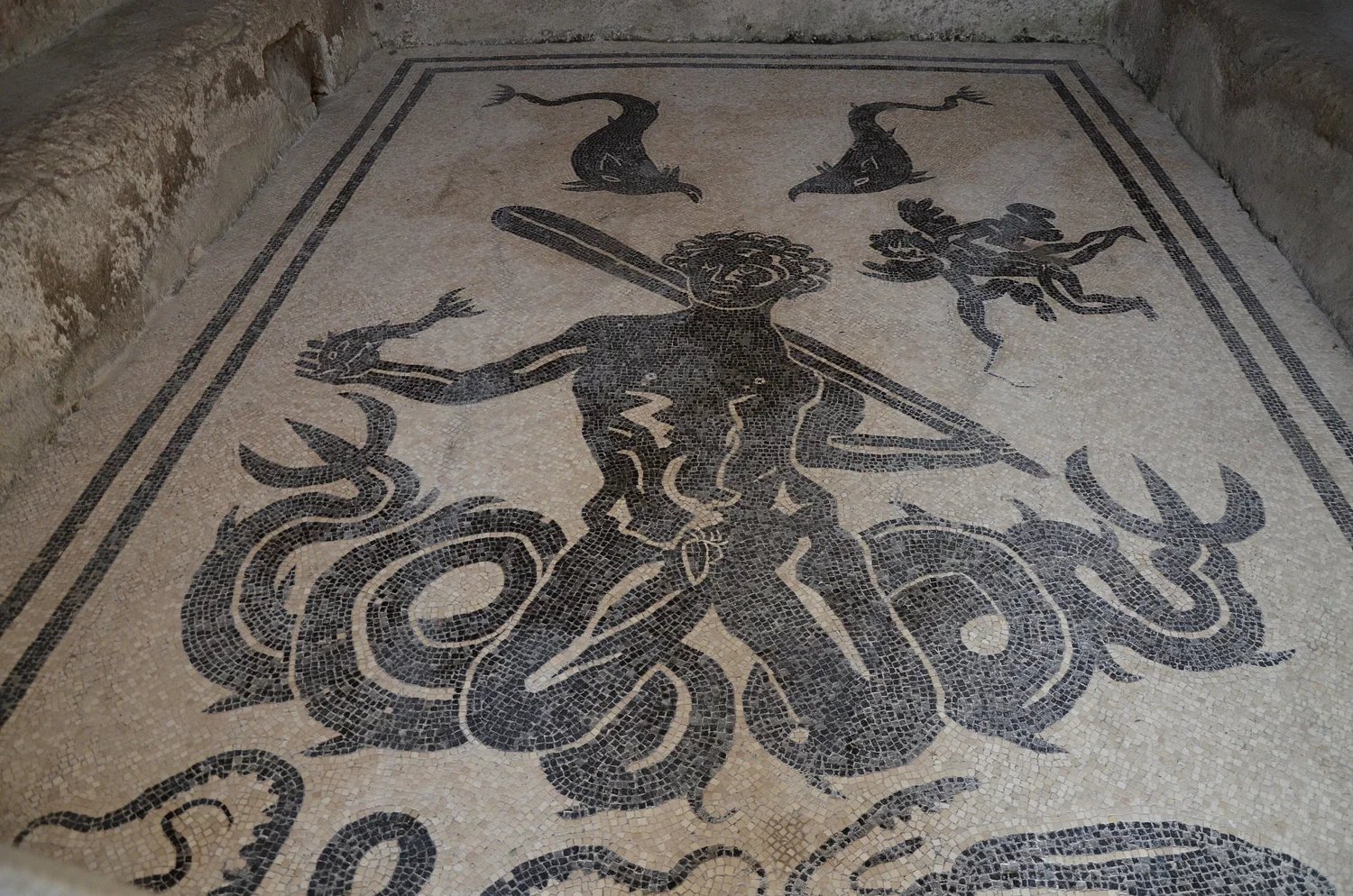 Marine Mosaic in the Central Baths of Herculaneum