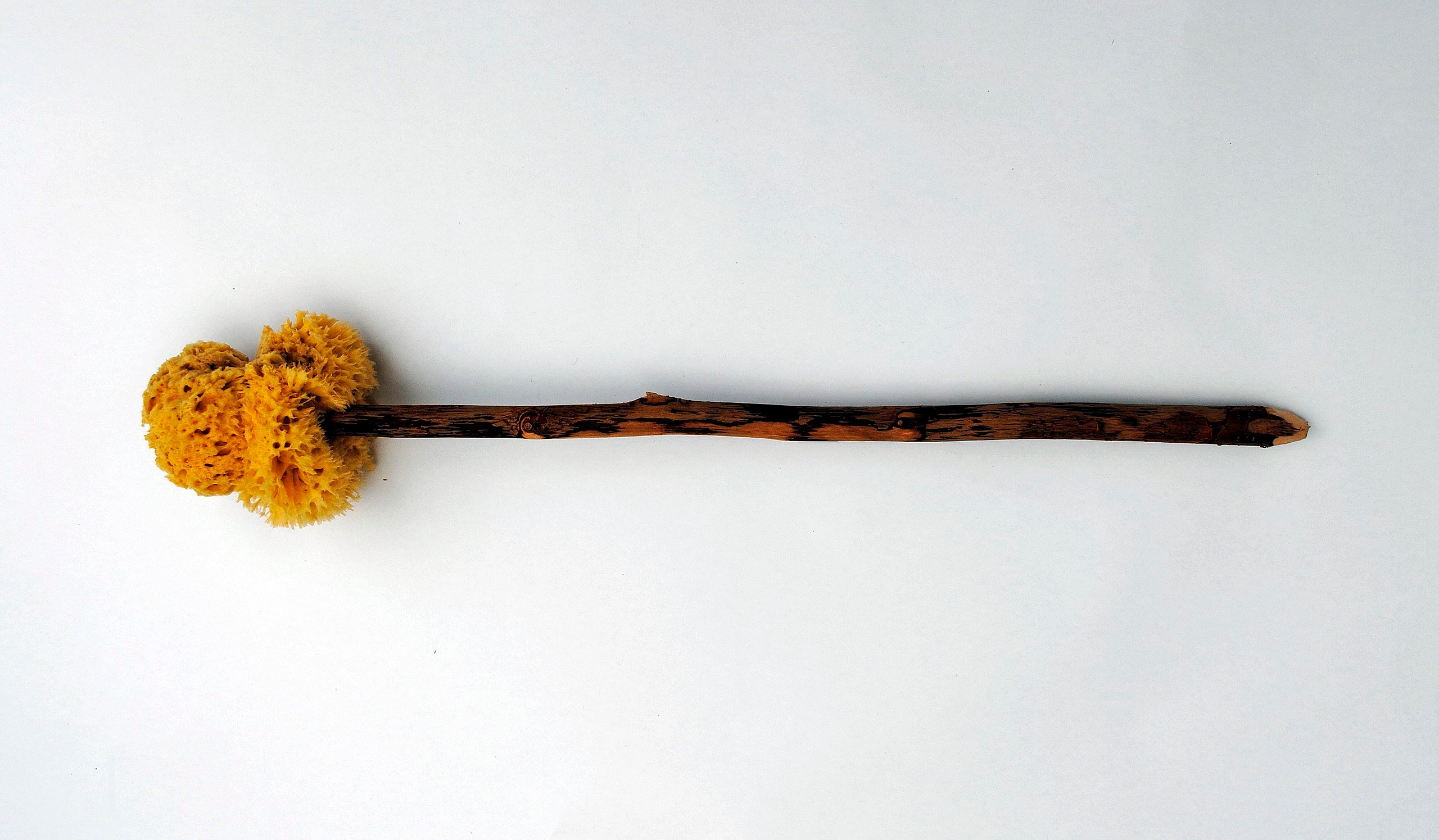 An xylospongium replica